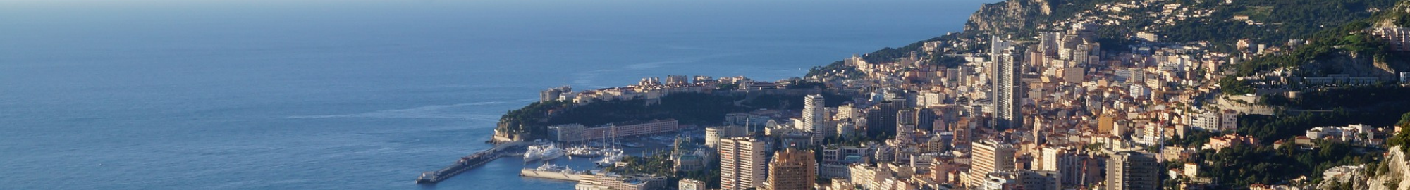 Ready For IT à Monaco