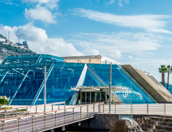 pages pushes,  les lieux RFIT